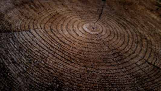 Wood. A Masters Turn For Beauty.