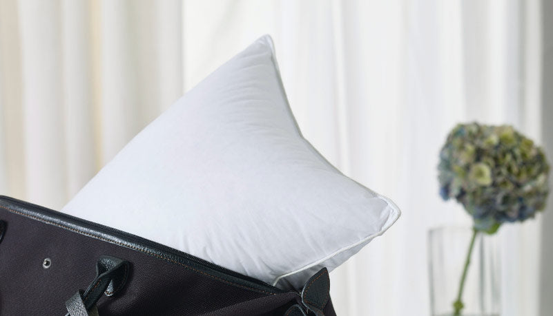listings-pillow-travelpillow_1_6.jpg